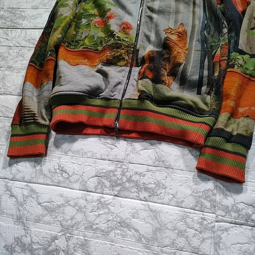 [Rare and beautiful condition] Etro Transfer Printed Hoodie Cat Landscape Painting L