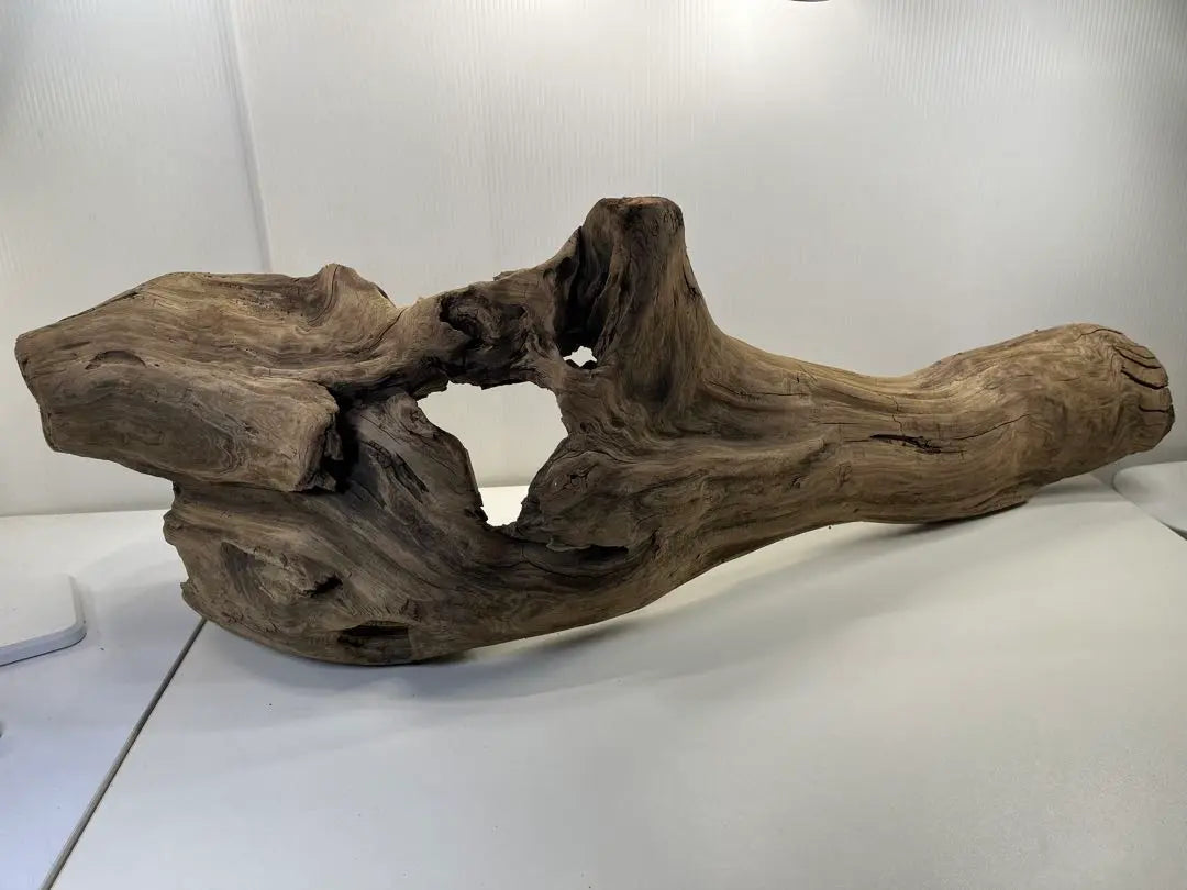 n47 Extra large driftwood, pre-exposed, reptile shelter, layout, climbing wood, interior