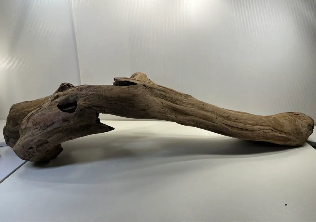 n47 Extra large driftwood, pre-exposed, reptile shelter, layout, climbing wood, interior