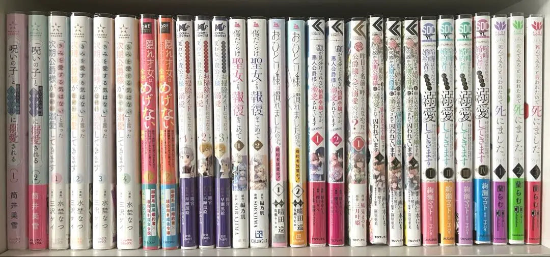 28 manga set (for details, please see the product description)