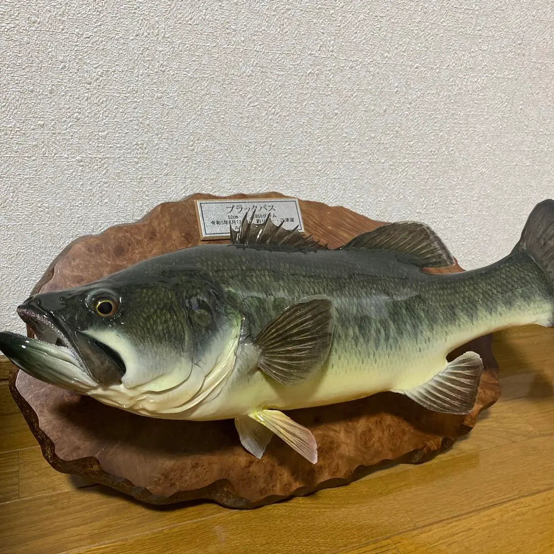 Bocina de pared interior despojada de Black Bass