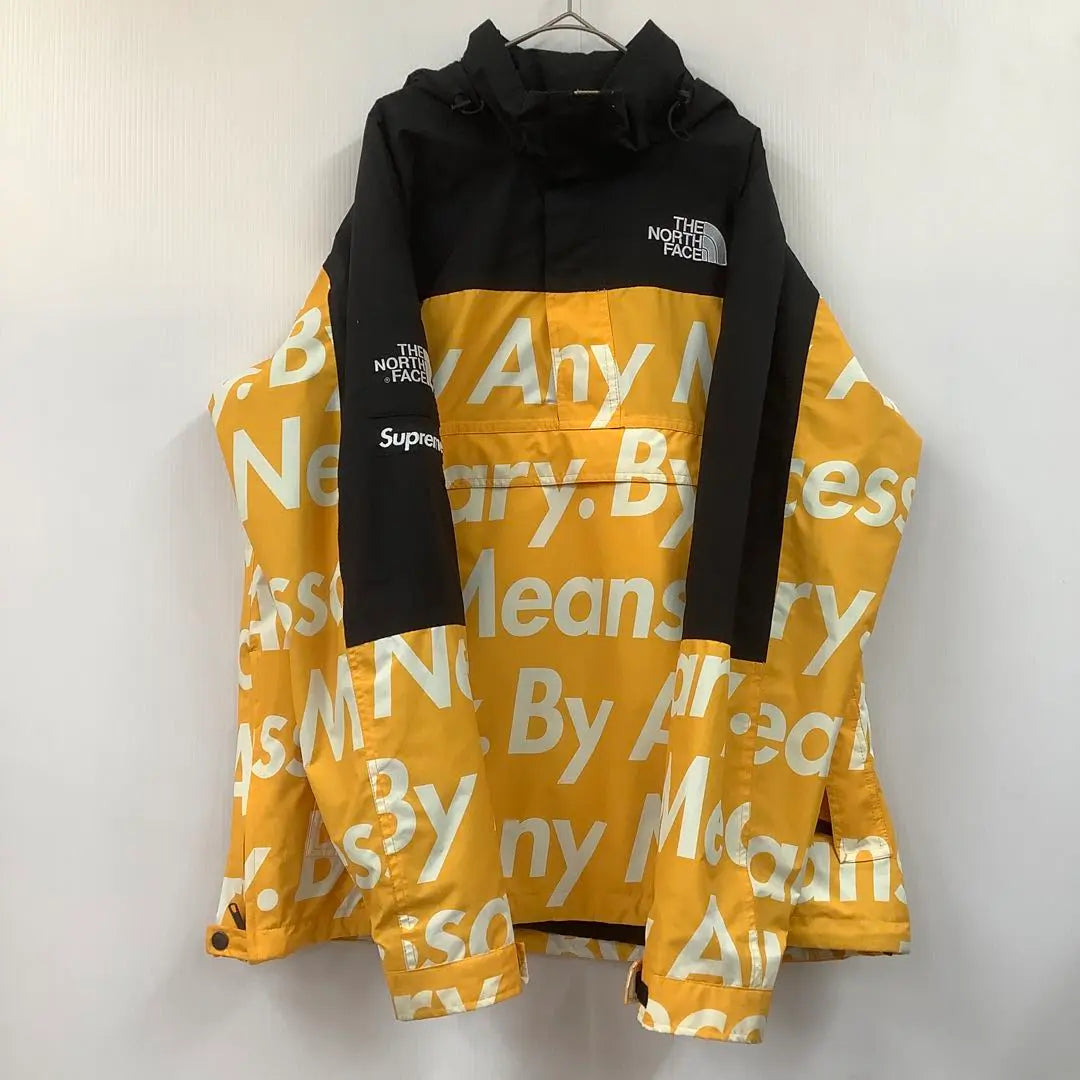 Supreme the north face MOUNTAIN JACKET