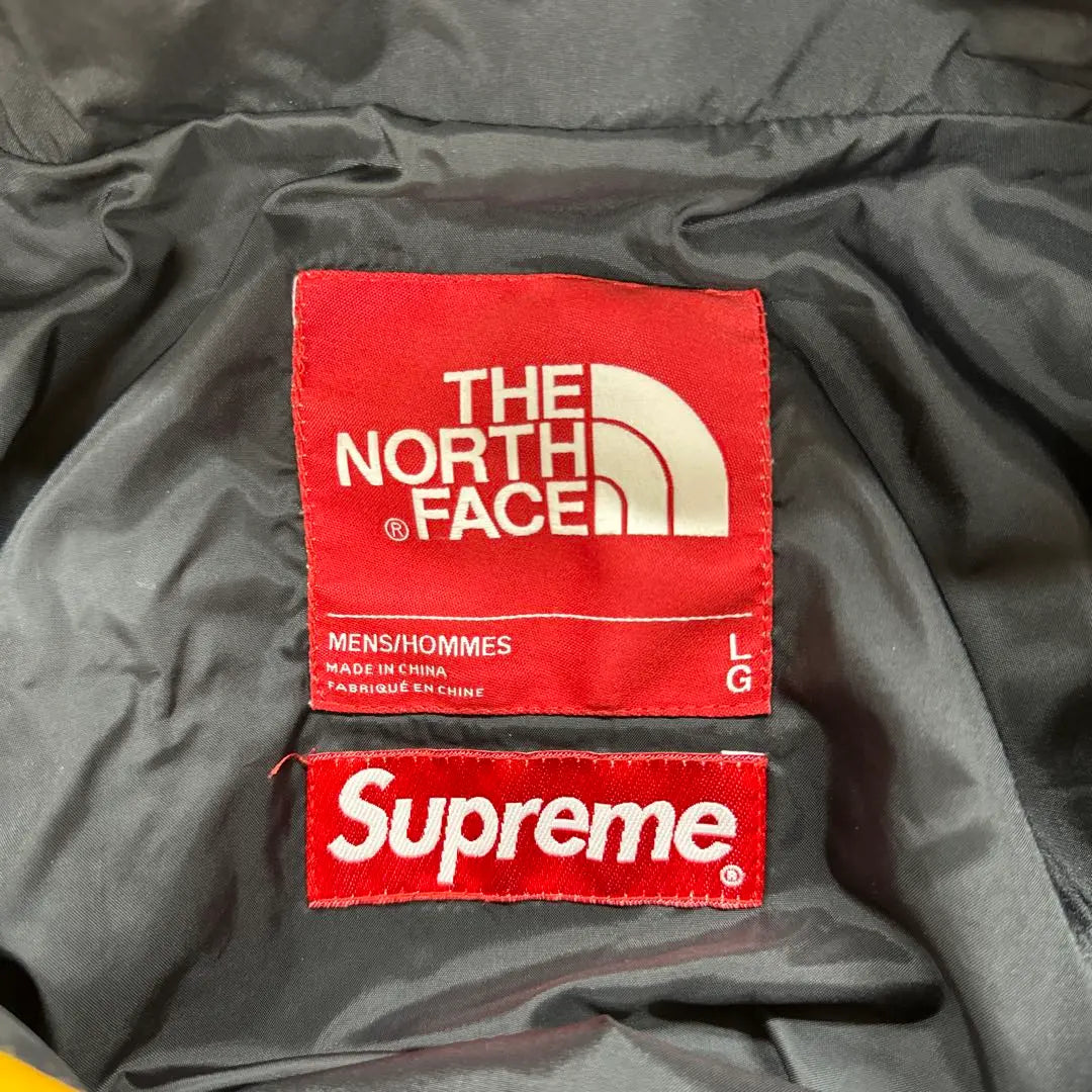 Supreme the north face MOUNTAIN JACKET