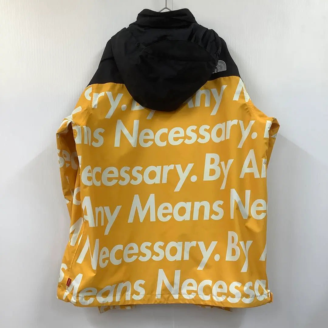 Supreme the north face MOUNTAIN JACKET