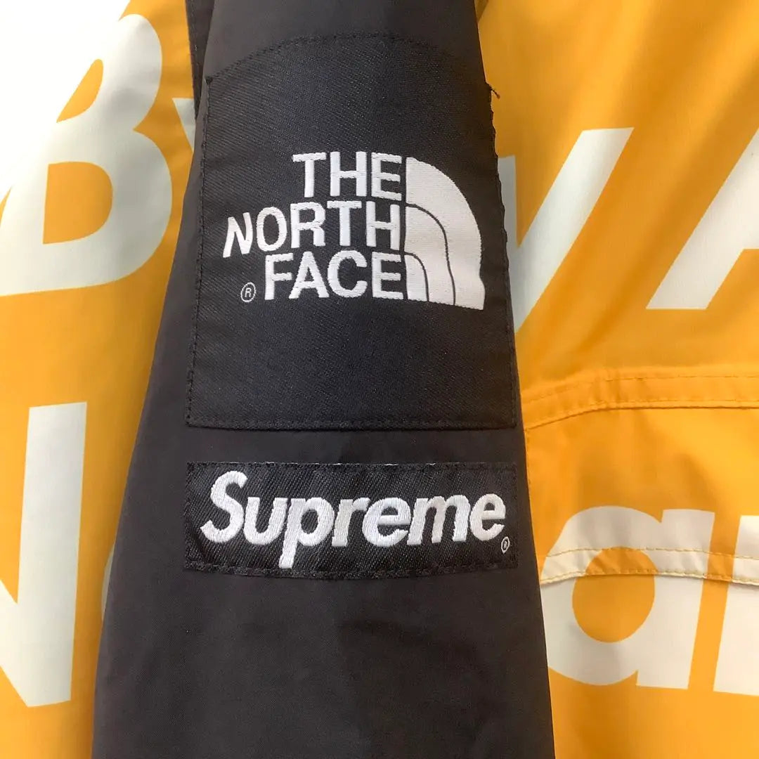 Supreme the north face MOUNTAIN JACKET