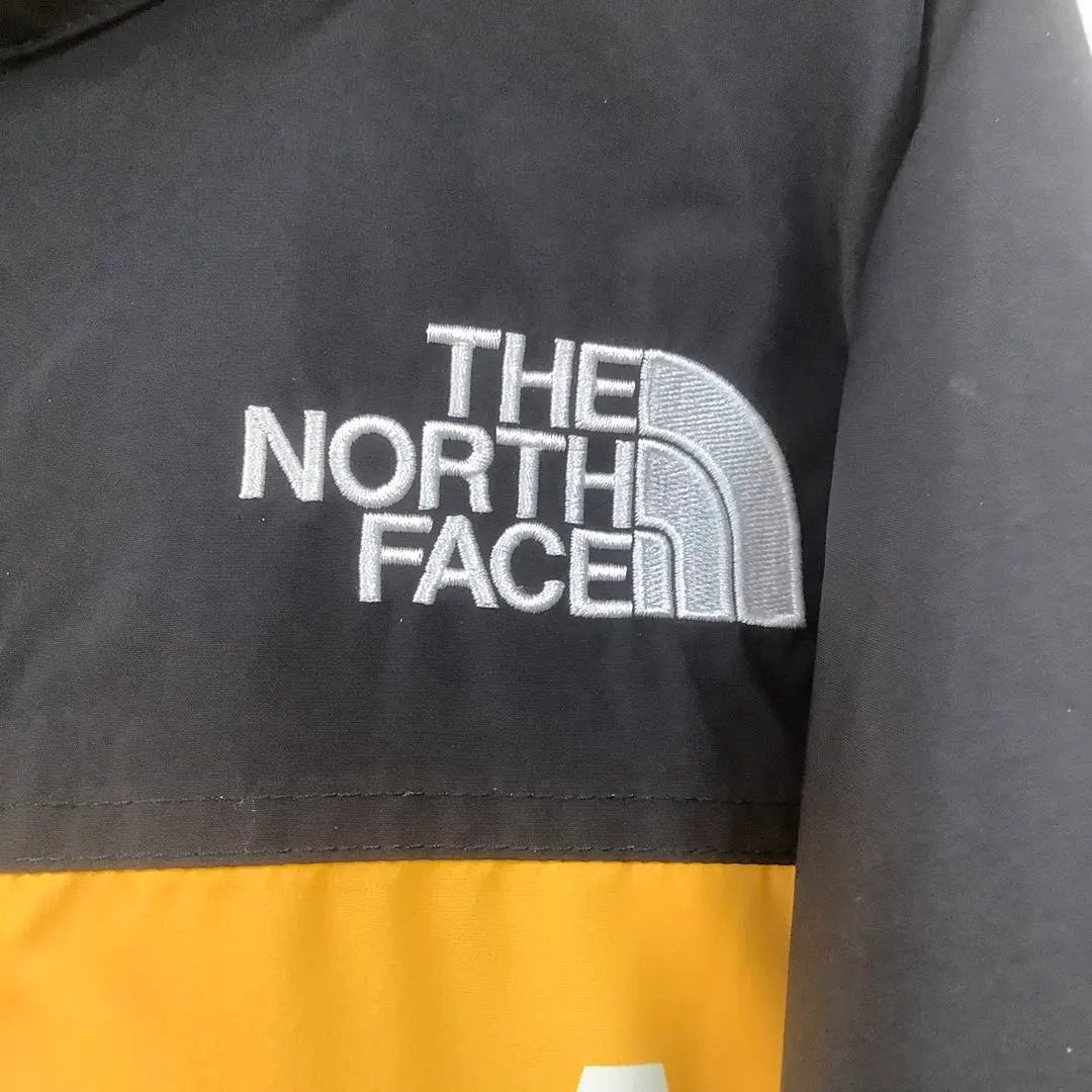 Supreme the north face MOUNTAIN JACKET