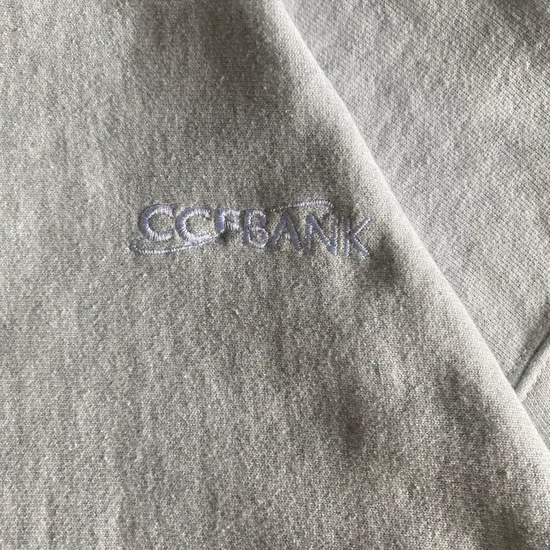 champion reverse weave hoodie