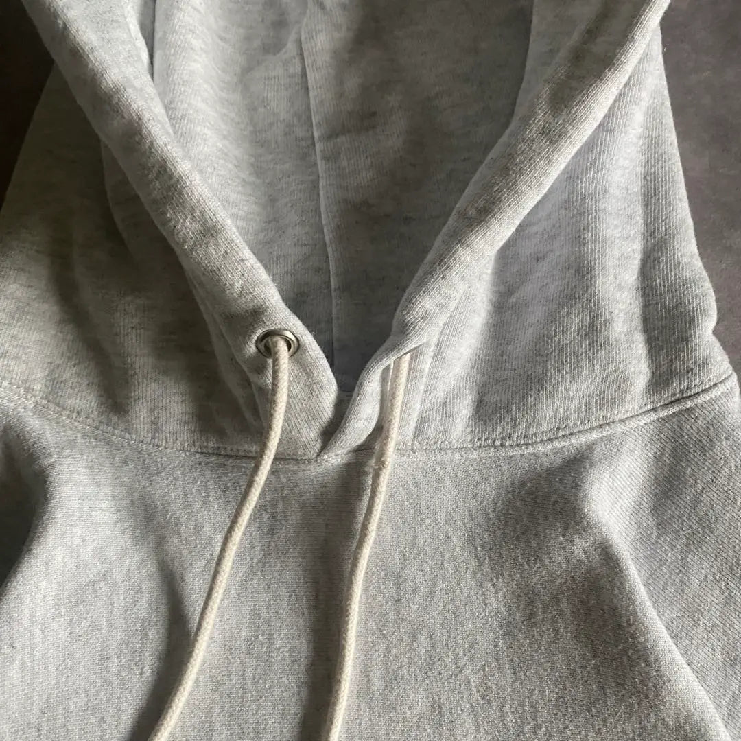 champion reverse weave hoodie