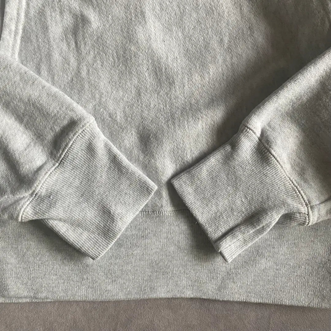 champion reverse weave hoodie