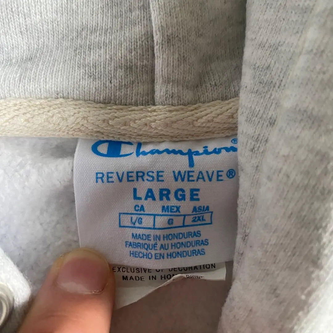 champion reverse weave hoodie