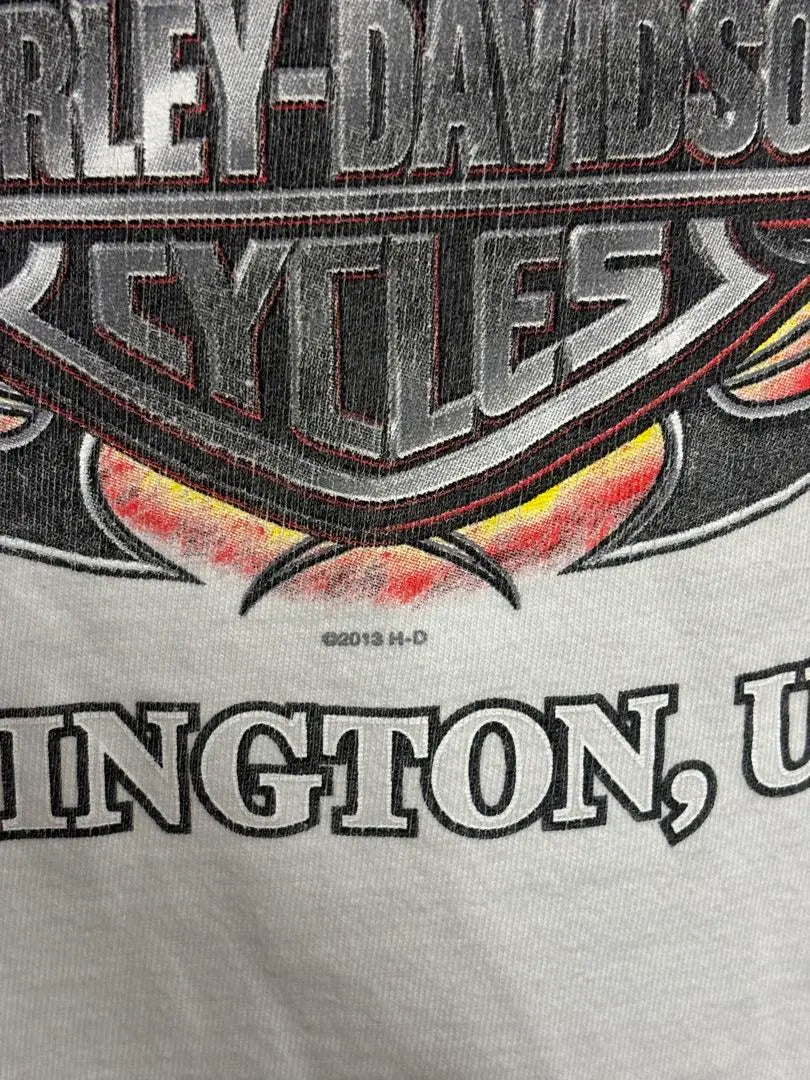 Camiseta Harley-Davidson Zion Fire XXL | Harley-Davidson ZION ファイヤー tシャツ XXL