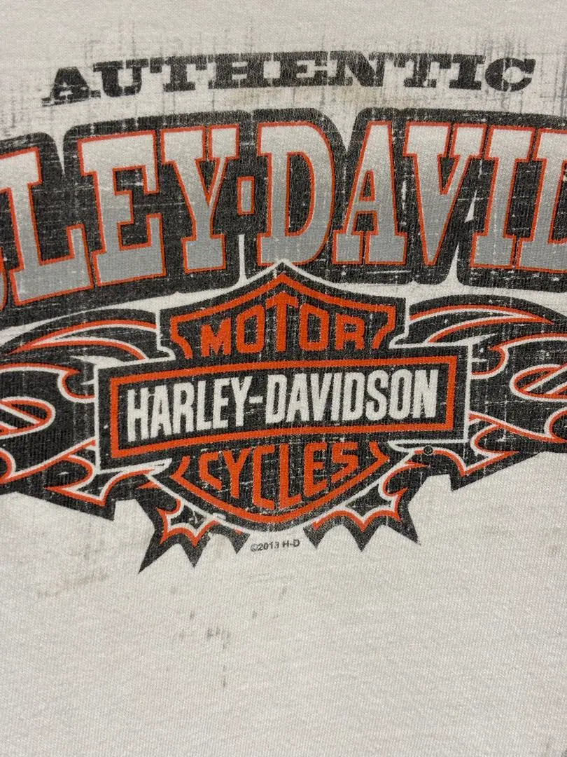 Camiseta Harley-Davidson Zion Fire XXL | Harley-Davidson ZION ファイヤー tシャツ XXL