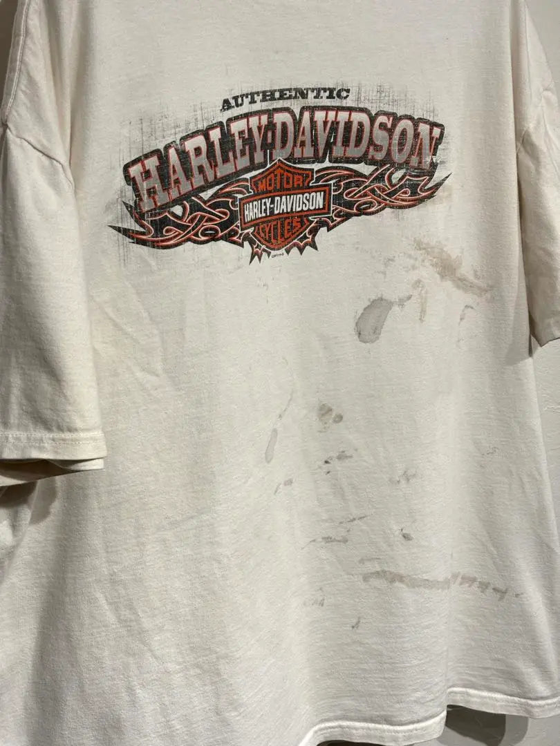 Harley-Davidson Zion Fire T-shirt XXL