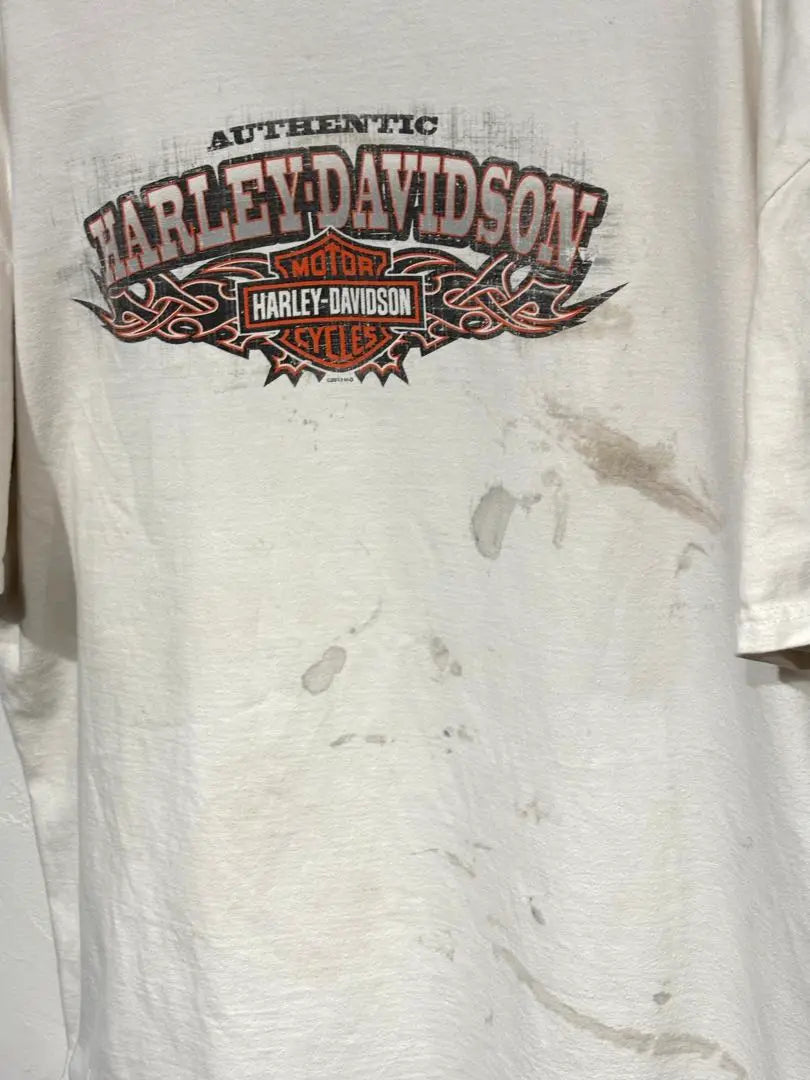 Harley-Davidson Zion Fire T-shirt XXL