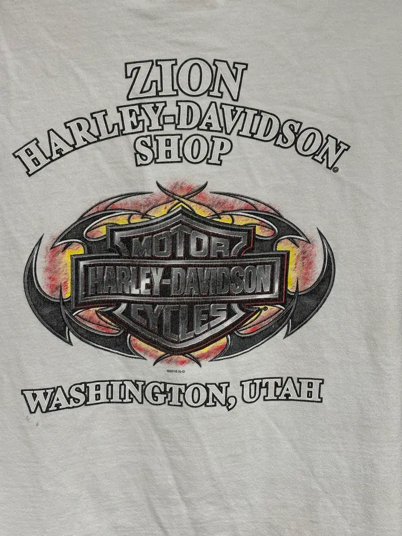 Camiseta Harley-Davidson Zion Fire XXL | Harley-Davidson ZION ファイヤー tシャツ XXL