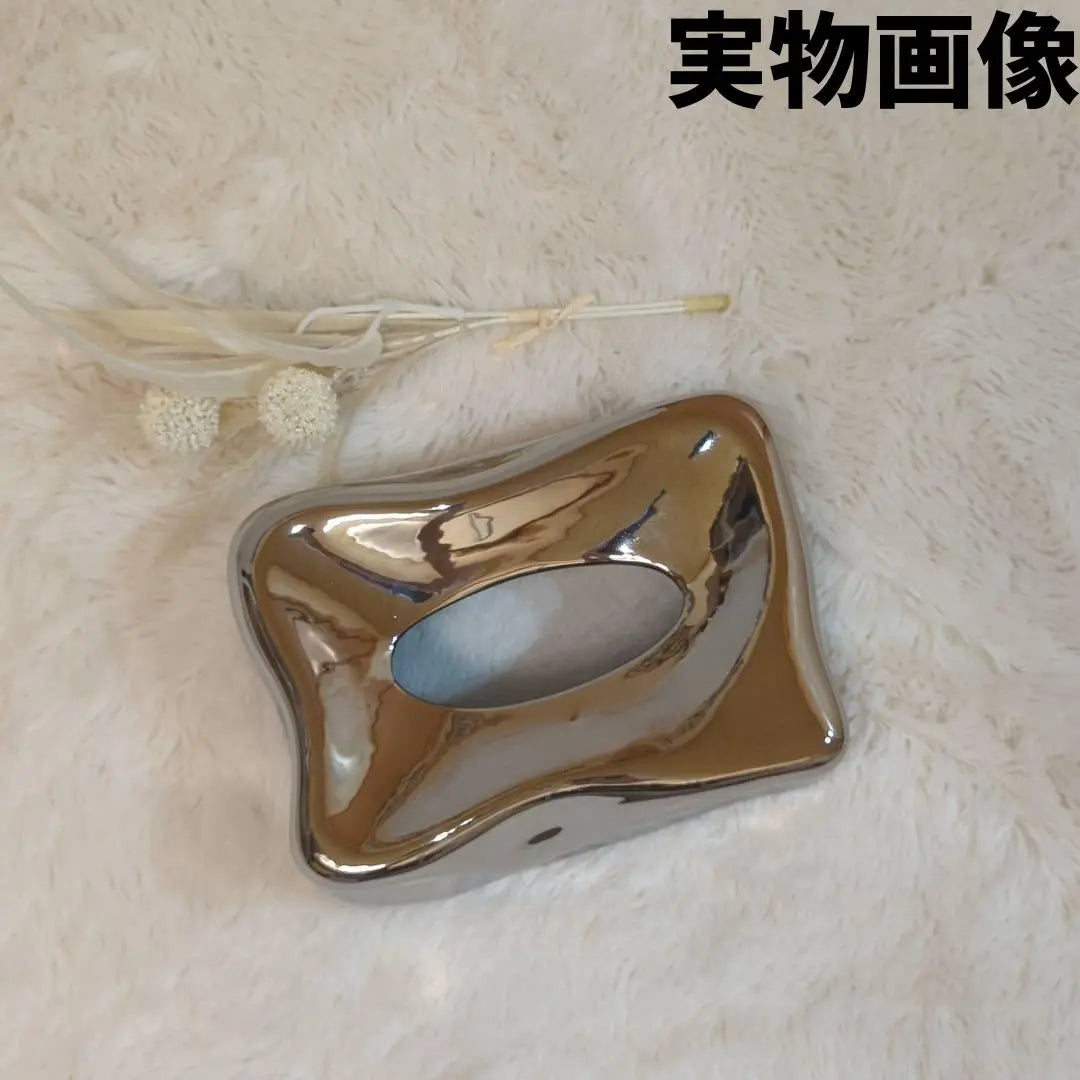 Tissue case Small Ceramic Interior Silver Silver Luxury