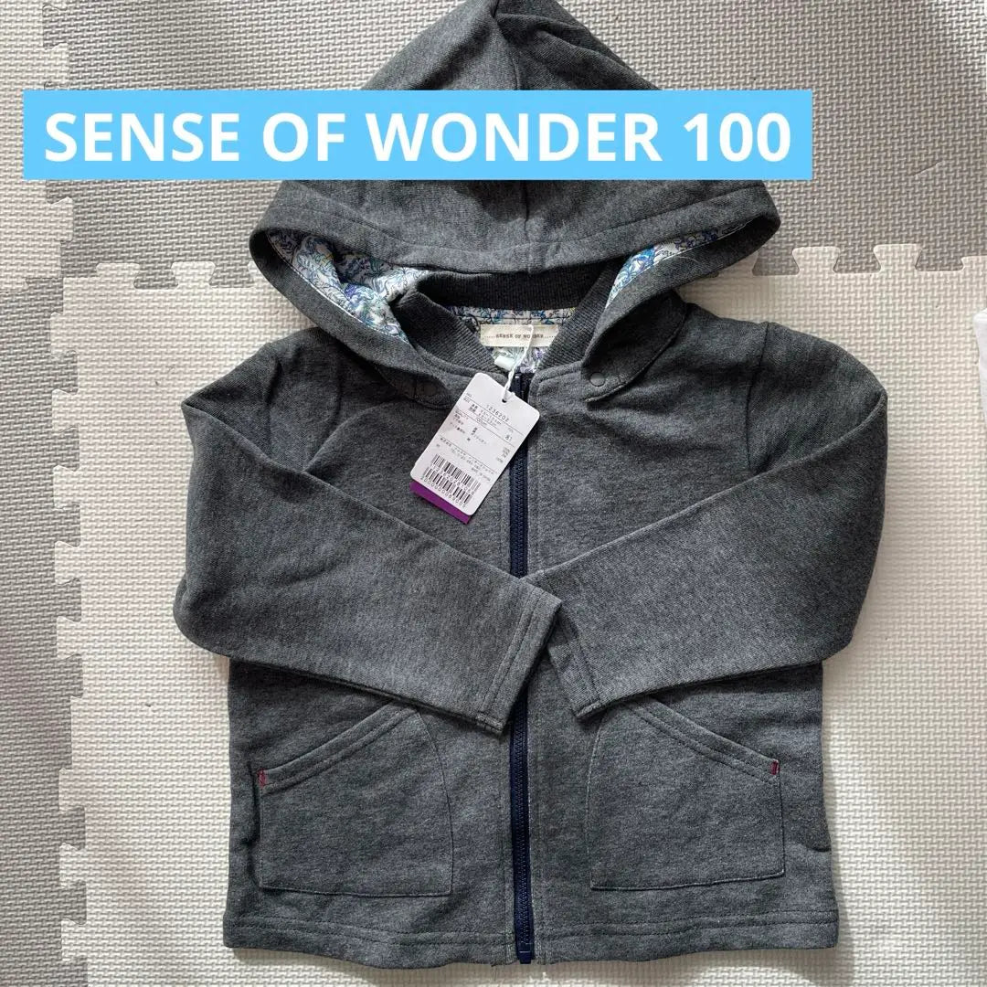 [Shipping included] SENSE OF WONDER 100 Hoodie