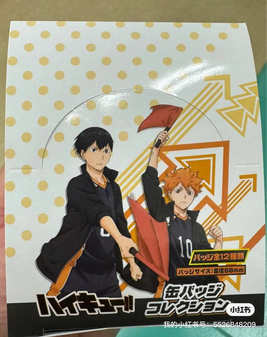 Colección de insignias Can (12 patrones en total) / Ventas de cajas / ¡Haikyu!!