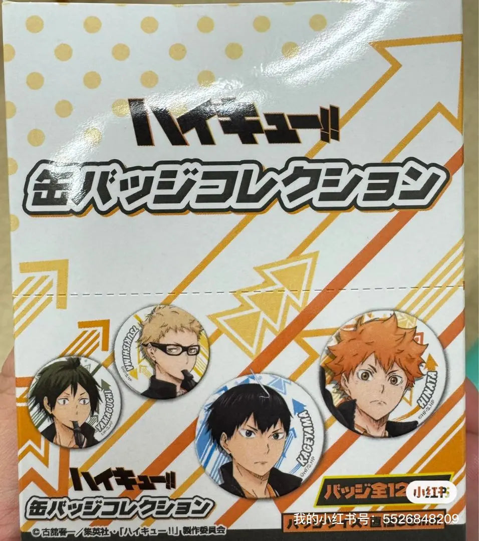 Colección de insignias Can (12 patrones en total) / Ventas de cajas / ¡Haikyu!!