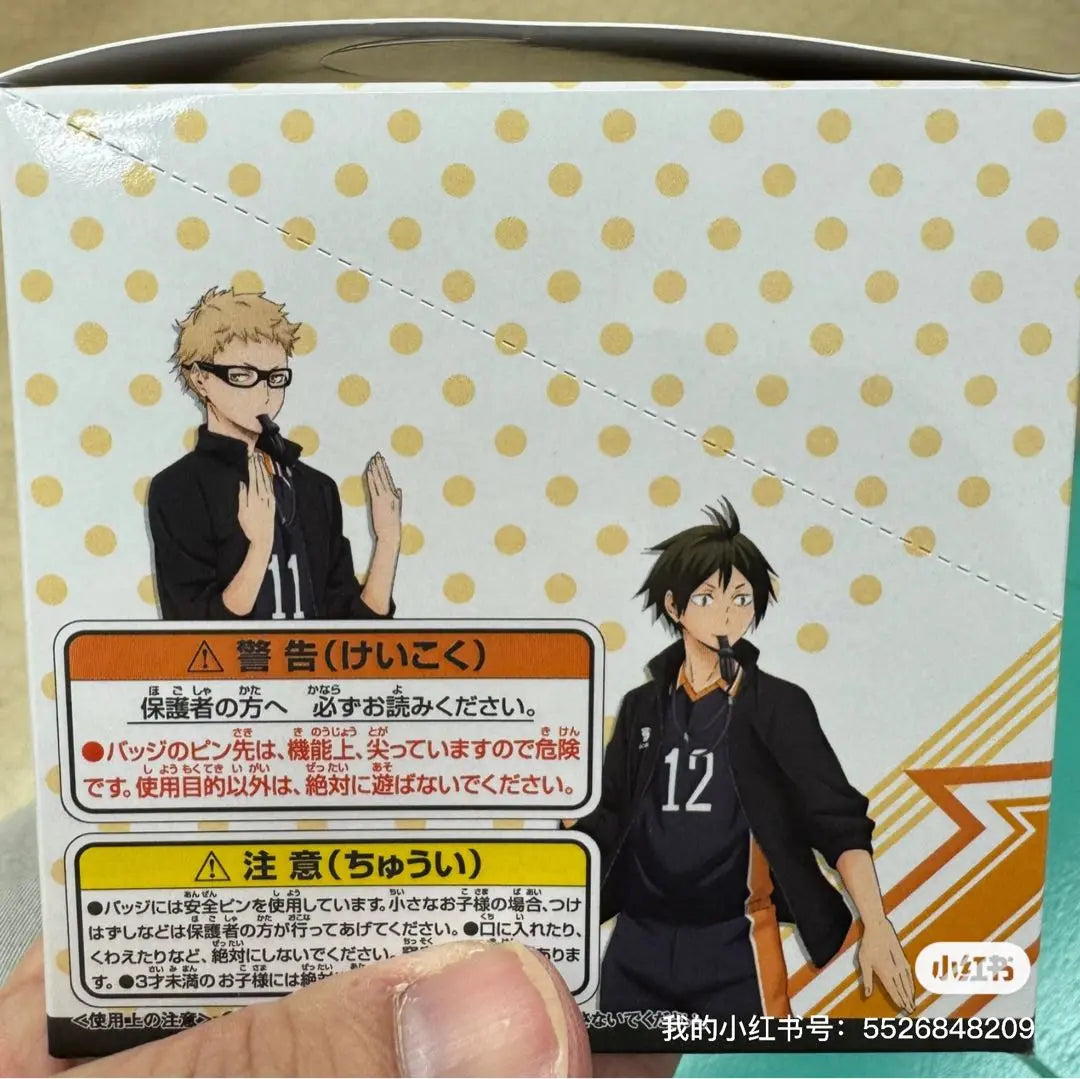 Colección de insignias Can (12 patrones en total) / Ventas de cajas / ¡Haikyu!!