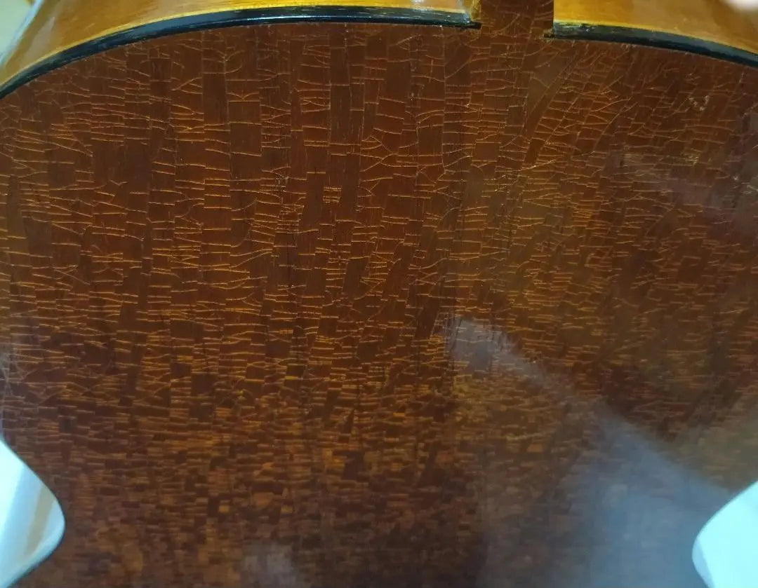 Escultura de cabeza de silla de montar de hueso de res cuerdas nueva guitarra clásica