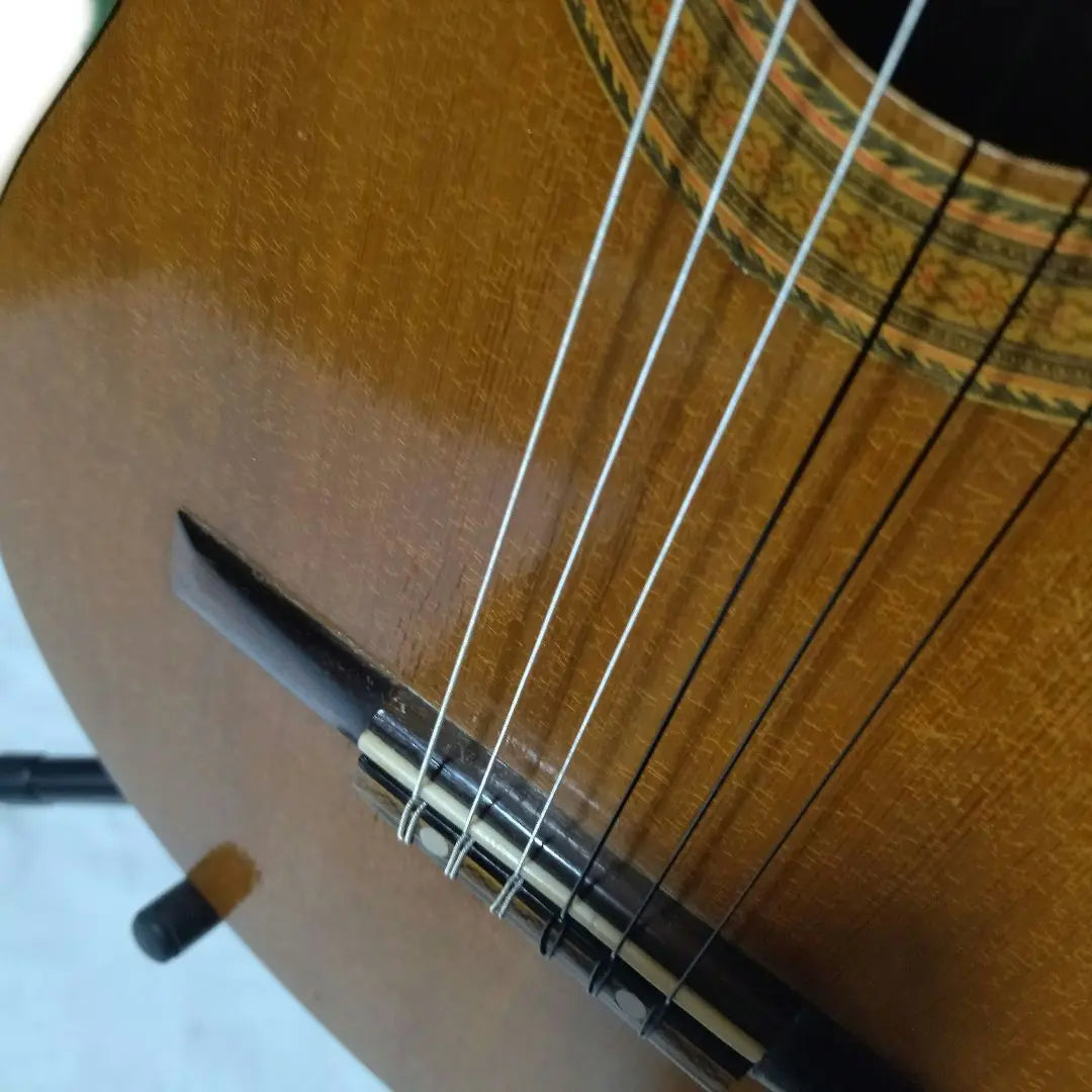 Escultura de cabeza de silla de montar de hueso de res cuerdas nueva guitarra clásica