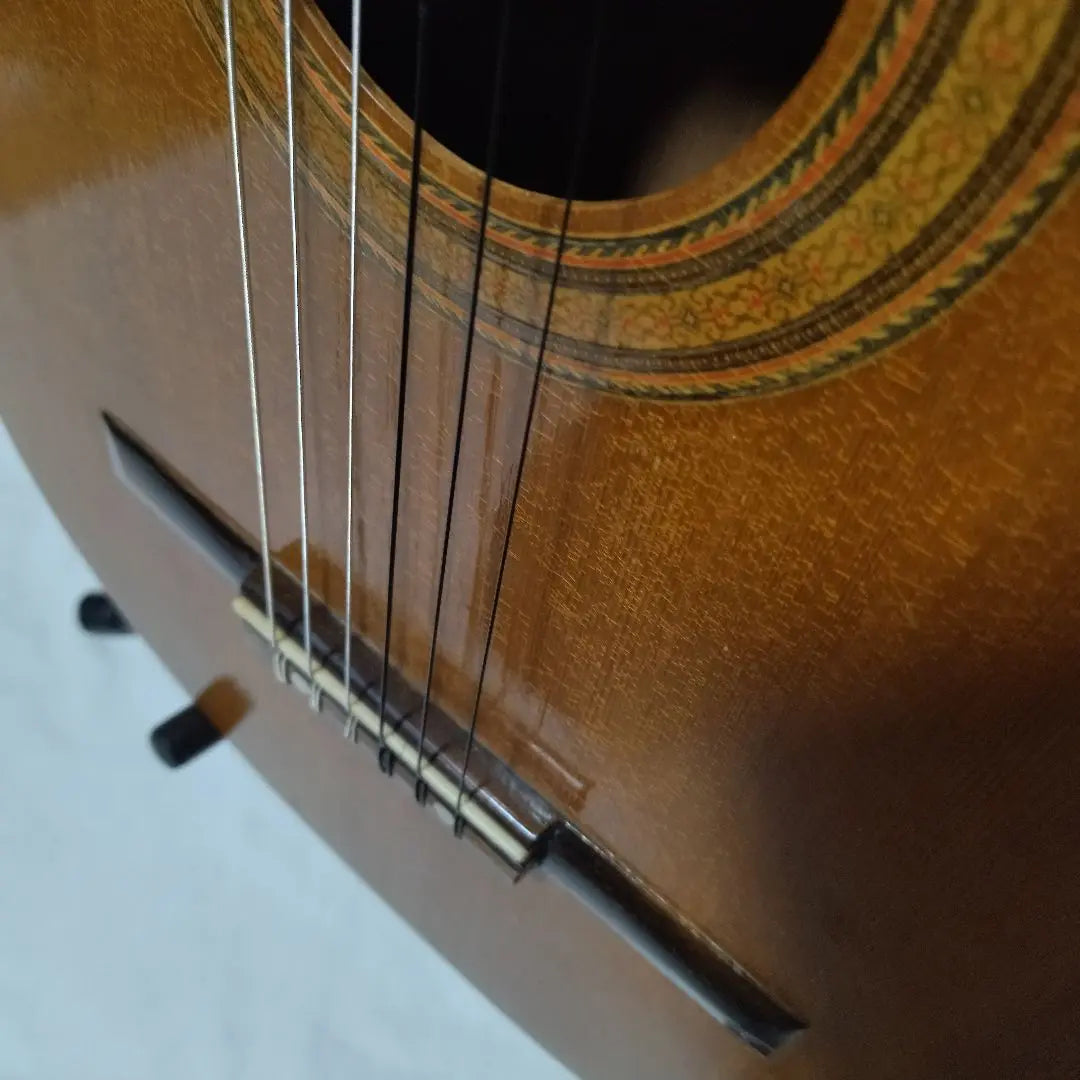 Escultura de cabeza de silla de montar de hueso de res cuerdas nueva guitarra clásica