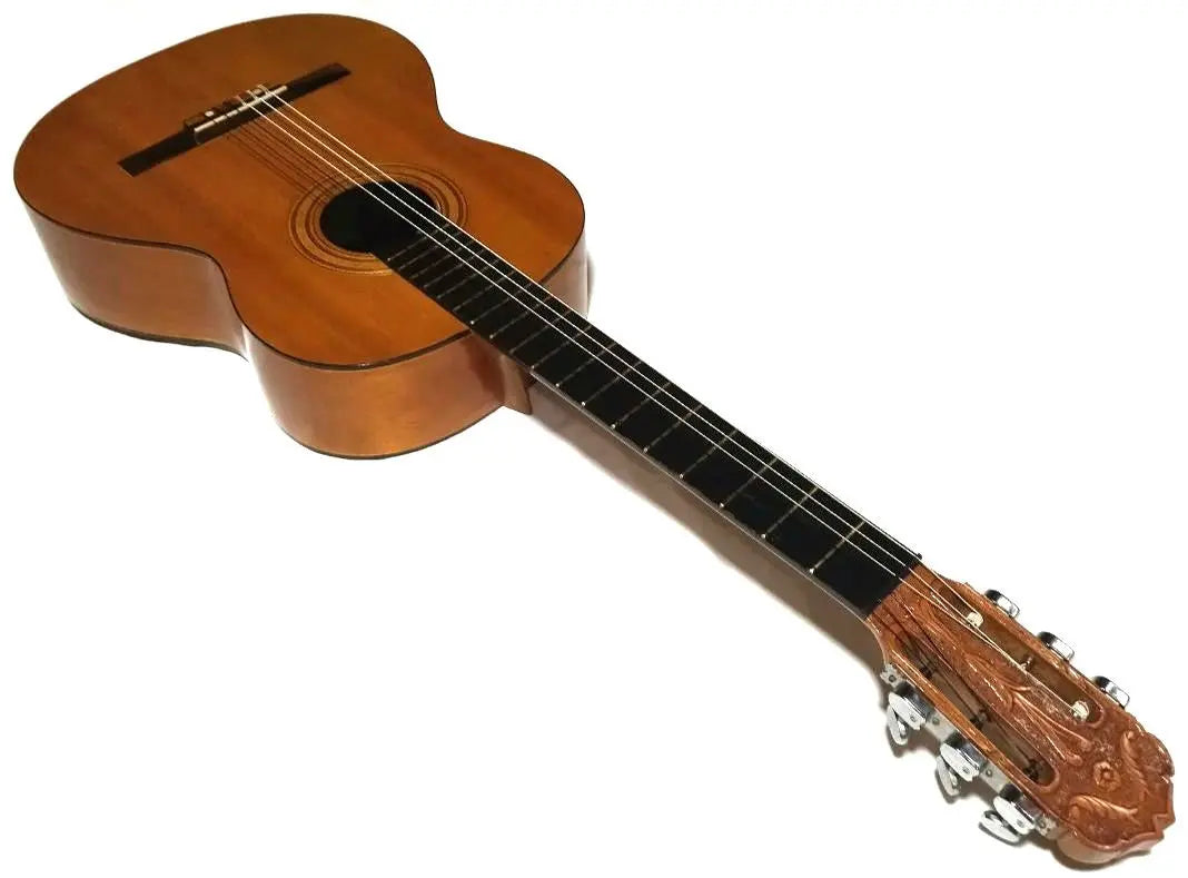 Escultura de cabeza de silla de montar de hueso de res cuerdas nueva guitarra clásica