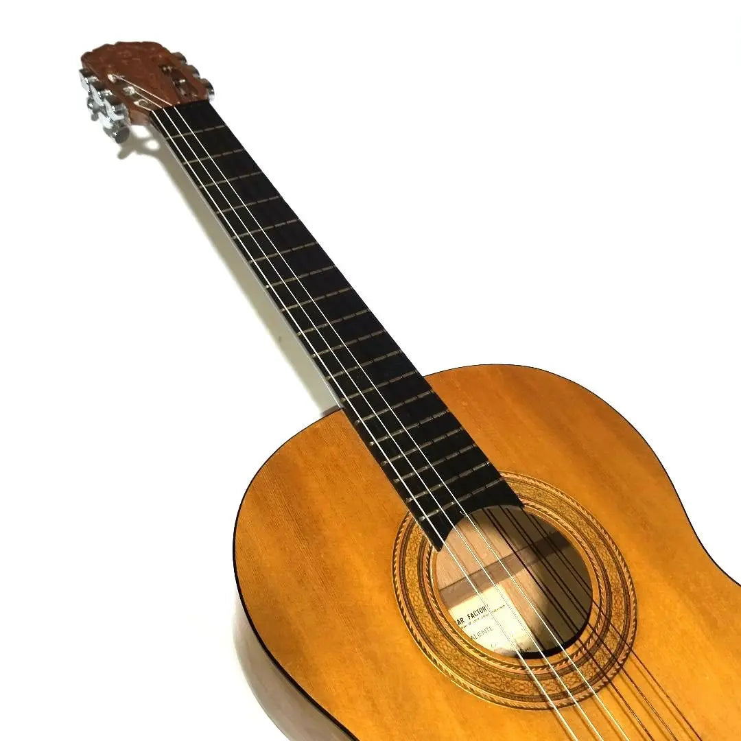 Escultura de cabeza de silla de montar de hueso de res cuerdas nueva guitarra clásica