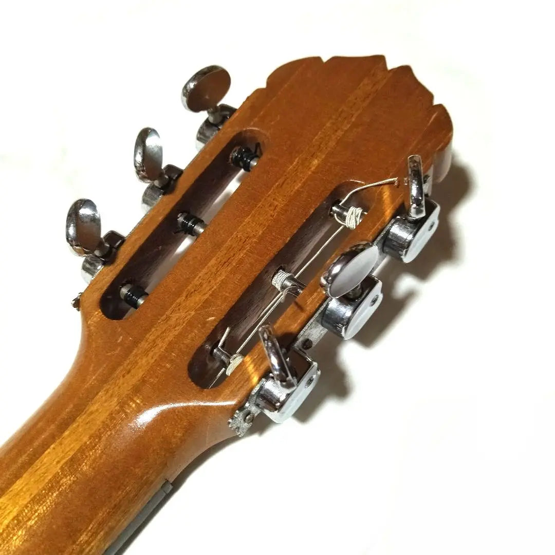 Escultura de cabeza de silla de montar de hueso de res cuerdas nueva guitarra clásica