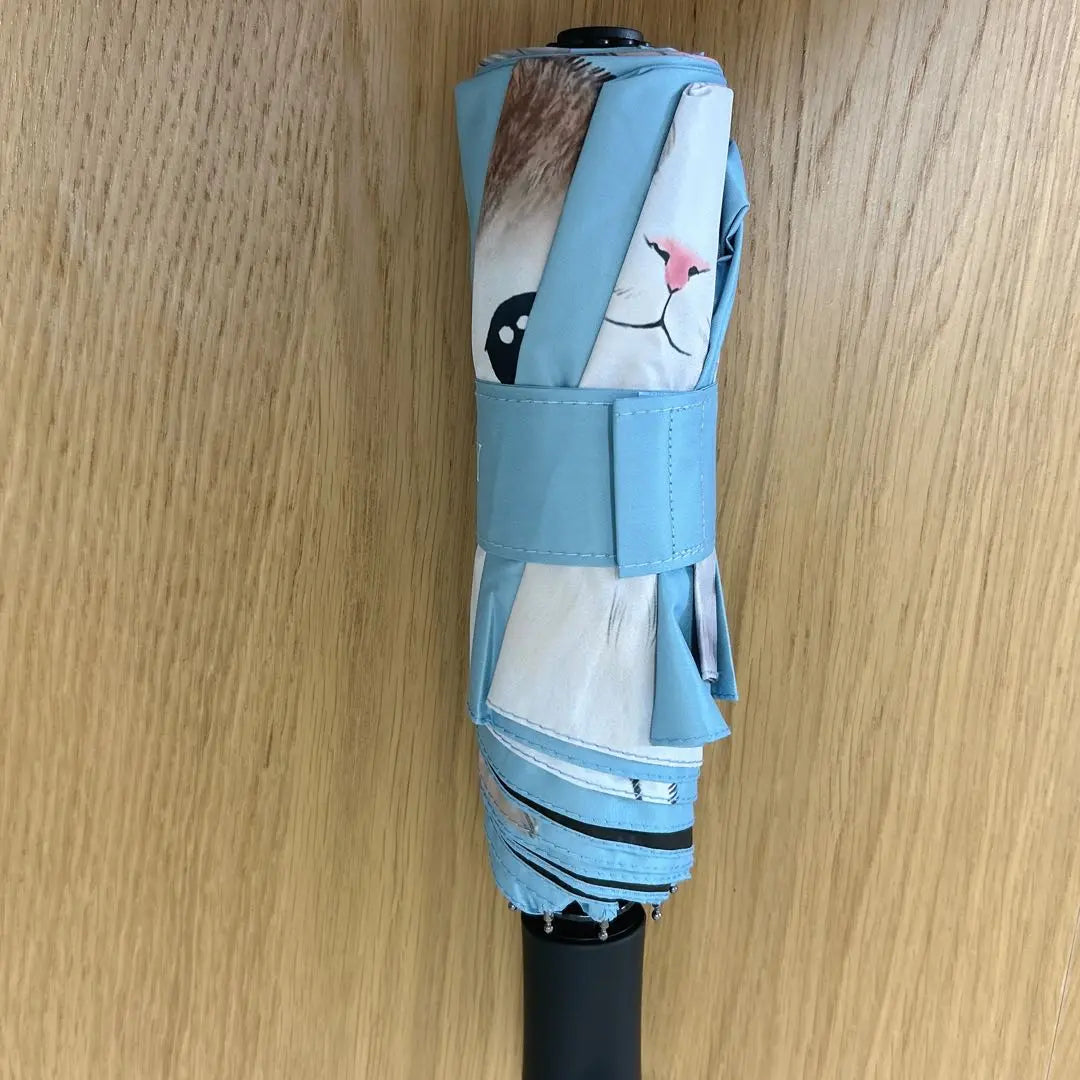 ★RAINA folding umbrella cat design blue