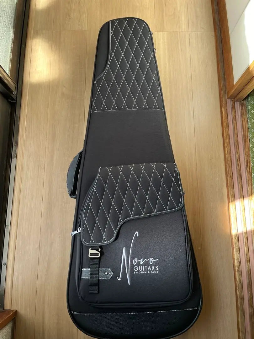 Novo guitar Serus J semi-order