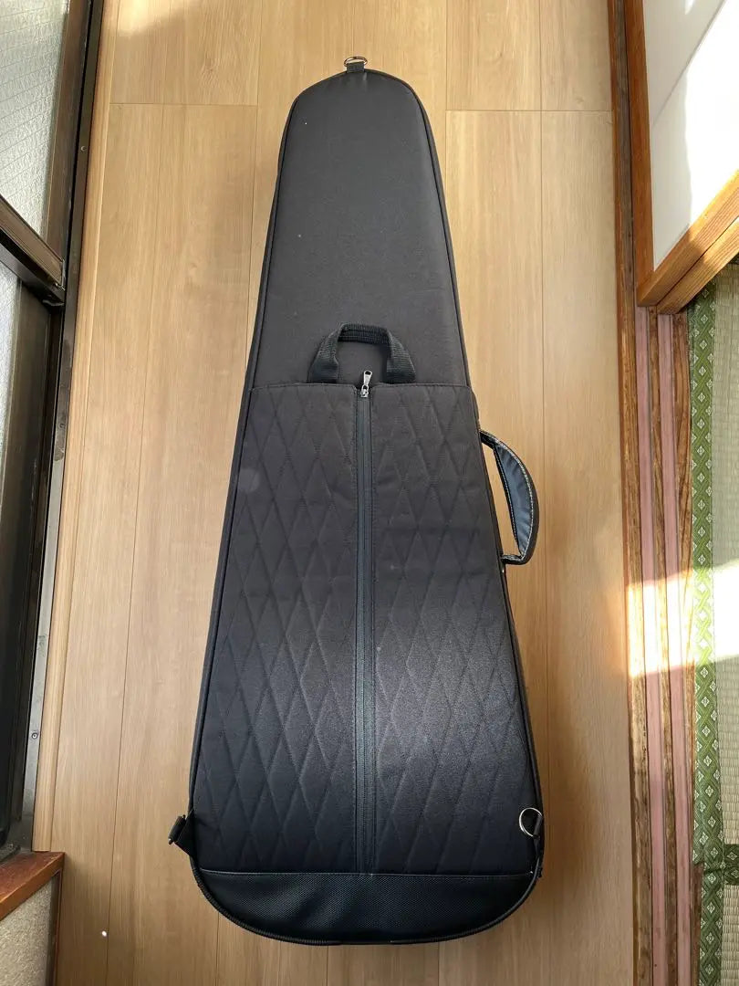 Novo guitar Serus J semi-order