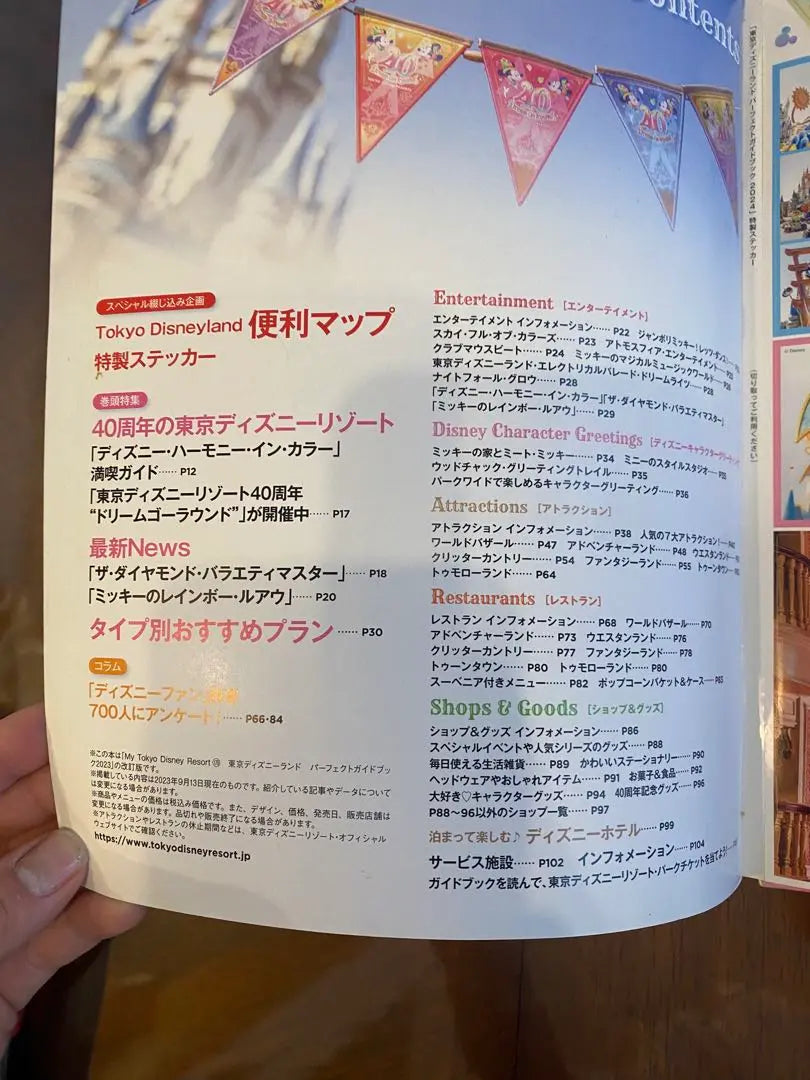 Tokyo Disneyland Perfect Guide 2024