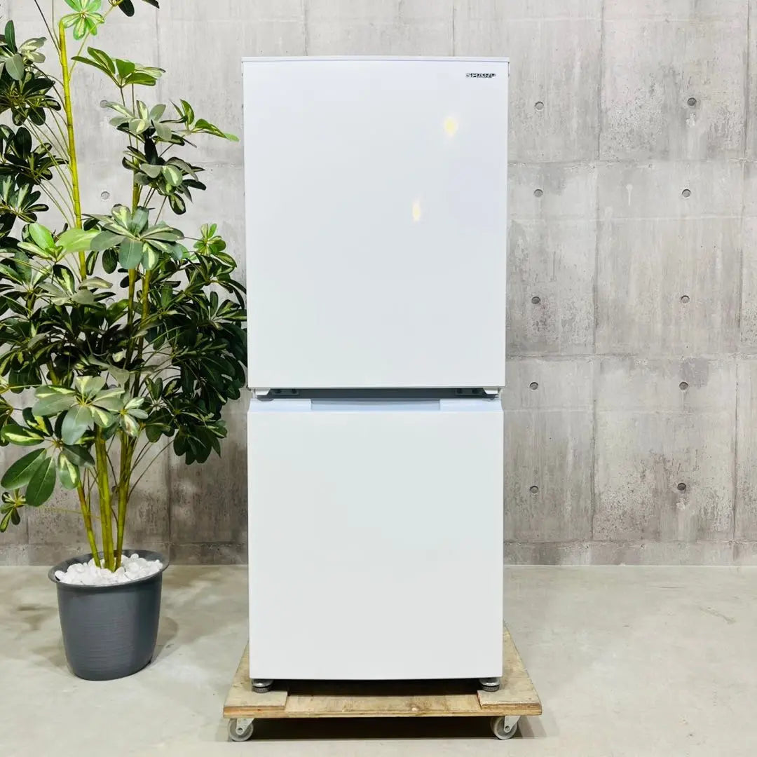 ♦️Refrigerador SHARP a3043 de 2 puertas y 152 l fabricado en 2022 11♦️