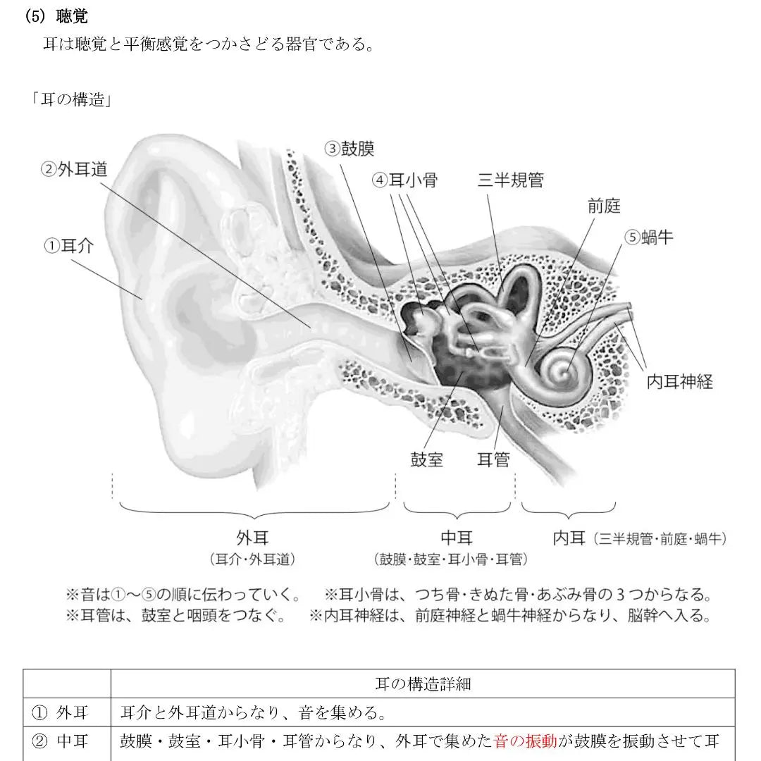 Type 1 Hygiene Manager DVD Text + 10 Past Questions (PDF)