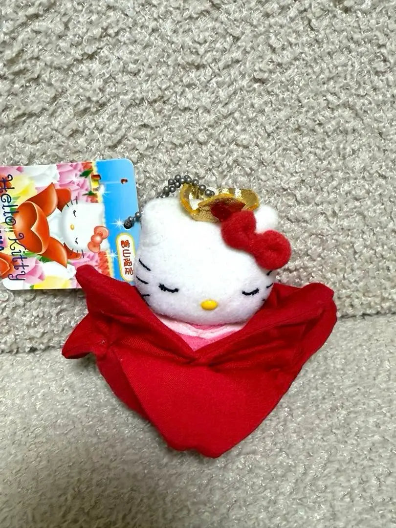 ★Rare Hello Kitty Plush Tulip Toyama Local Mascot