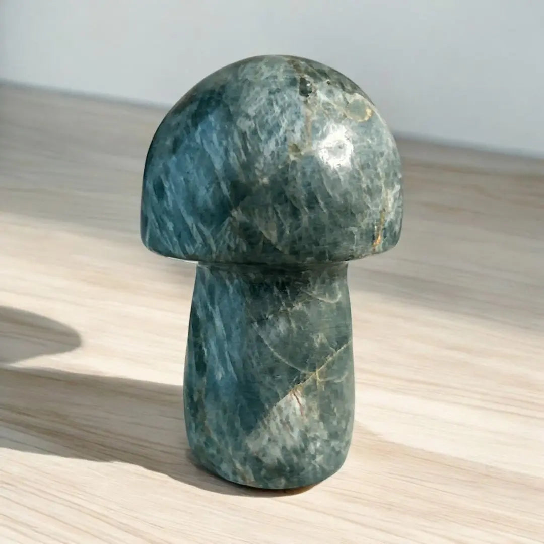 [New] Apatite mushroom with a rare blue-green colour | 【新品】ブルーグリーンの珍しい色合いのアパタイト　キノコちゃん