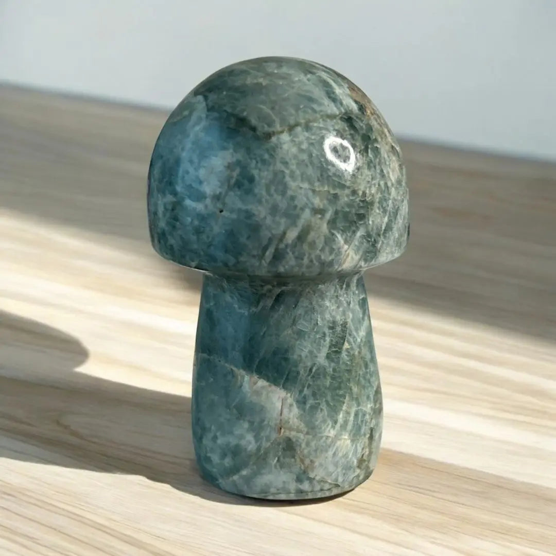 [New] Apatite mushroom with a rare blue-green colour | 【新品】ブルーグリーンの珍しい色合いのアパタイト　キノコちゃん