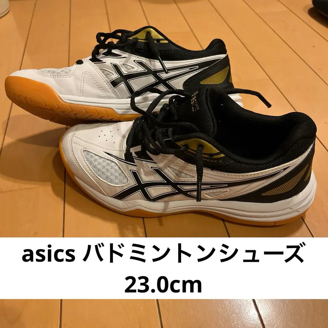 asics COURT BREAK 2 Badminton shoes Asics 23