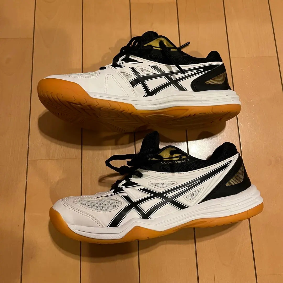 asics COURT BREAK 2 Badminton shoes Asics 23