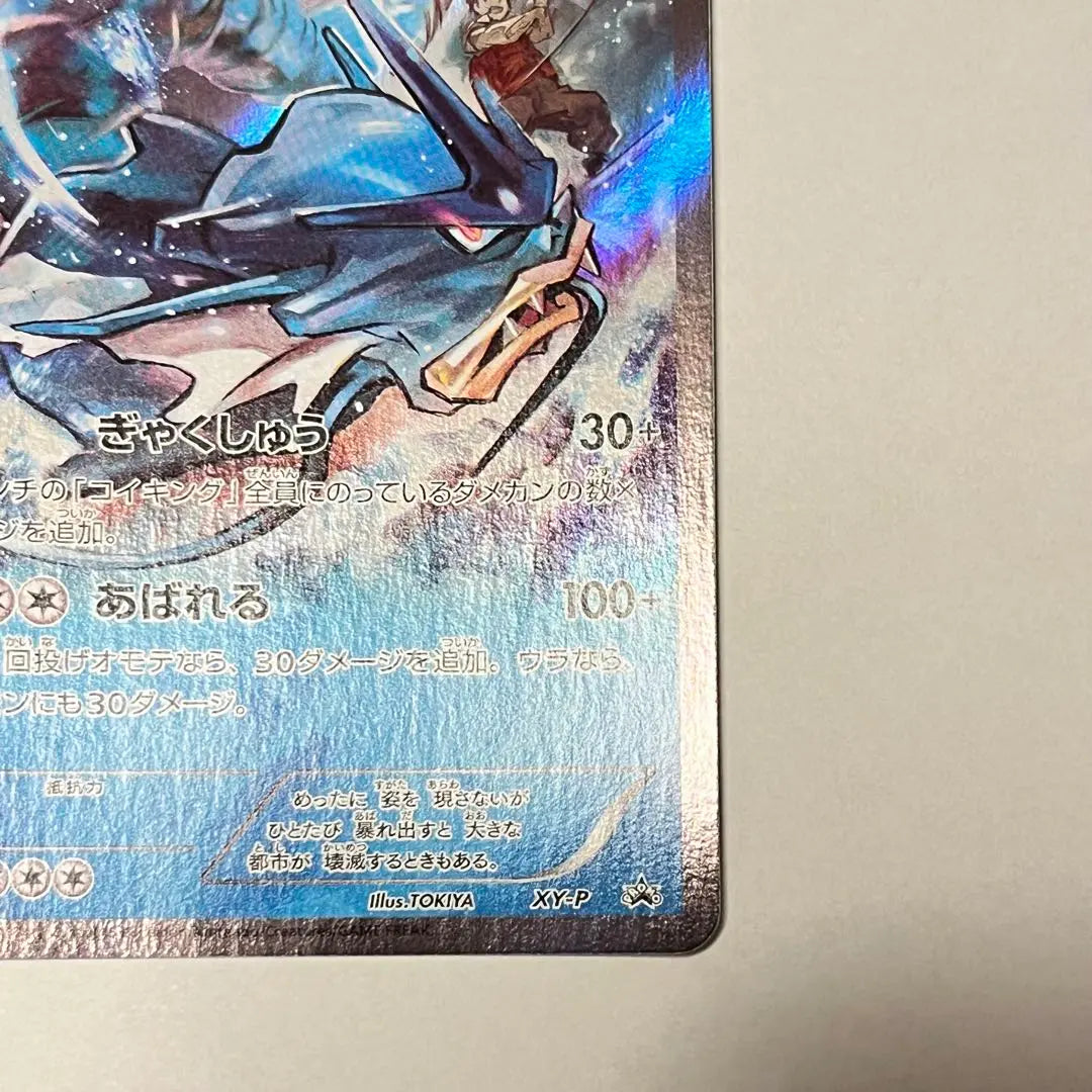 Tarjeta Pokemon Galados Hiroshima Promo XY-P | ギャラドス 広島 プロモ XY-P ポケモンカード