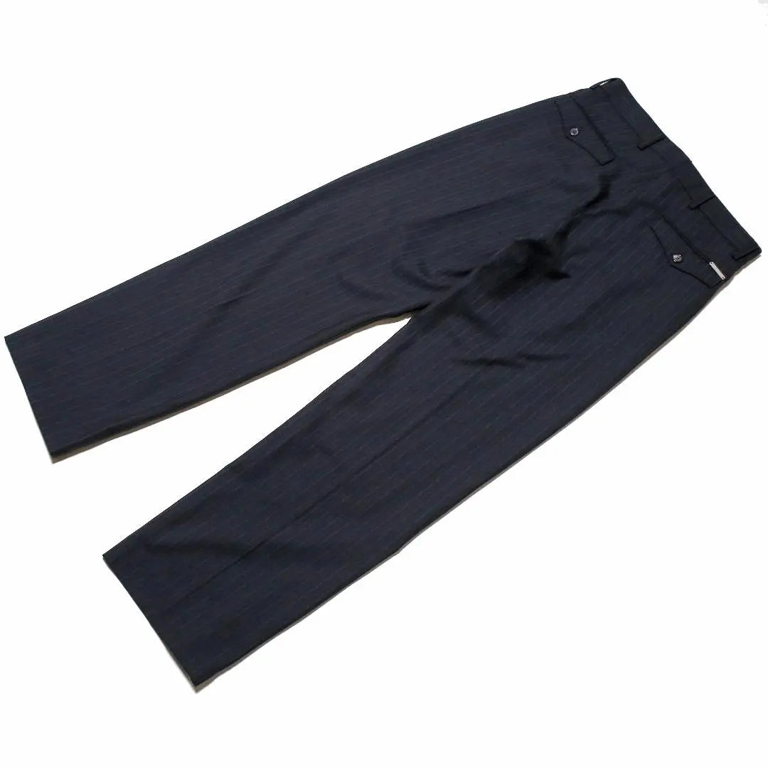 ARISE Zip Stripe Slacks 26