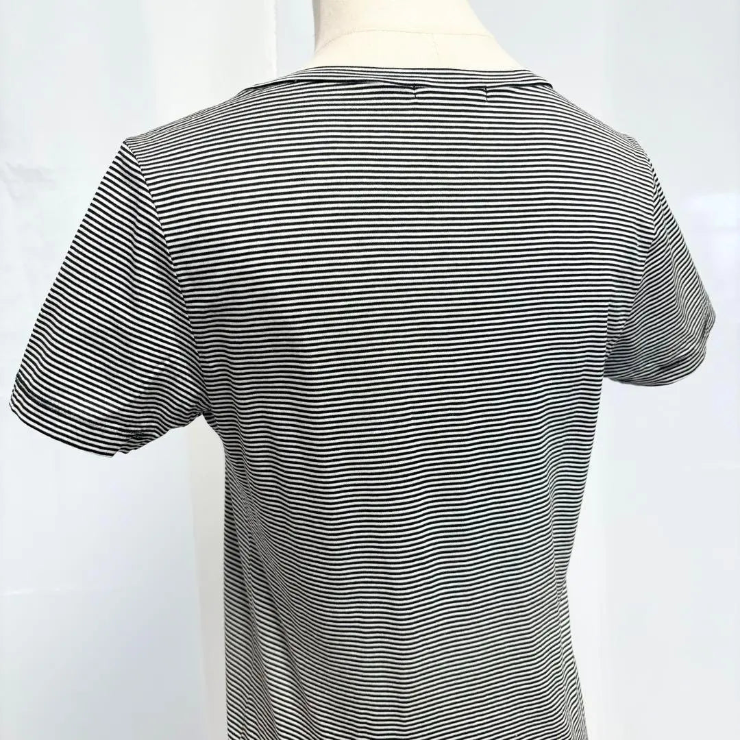 [Nearly unused] AMACA T-shirt Tops Short Sleeves Border Black and White L