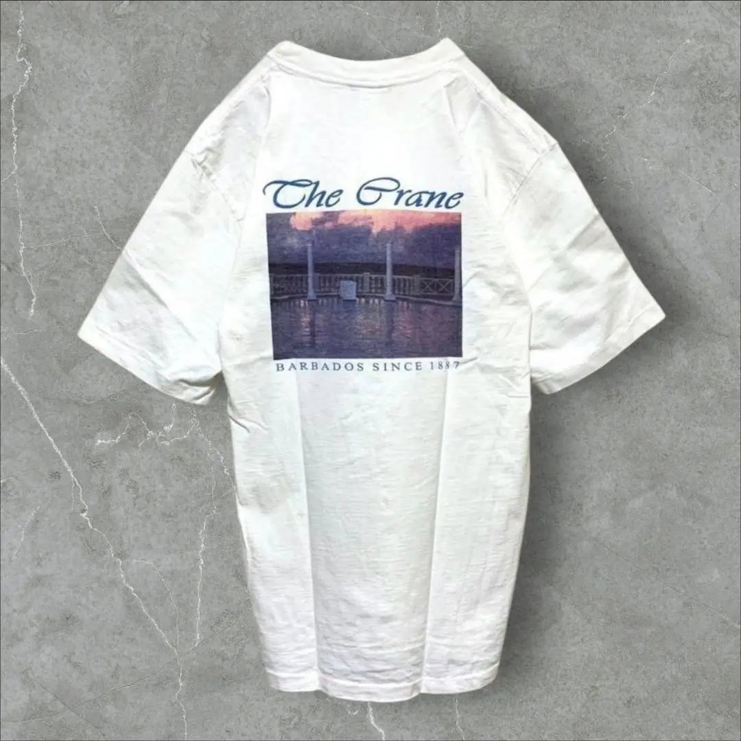 [w508] One-of-a-kind USA Vintage 90s item from the time, single stitch short sleeve T-shirt white