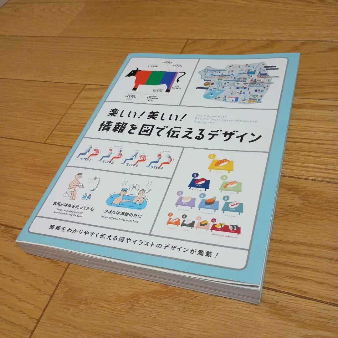 [En muy buen estado] ¡Divertido! ¡Hermoso! Diseño que transmite información a través de diagramas Diseño de libro