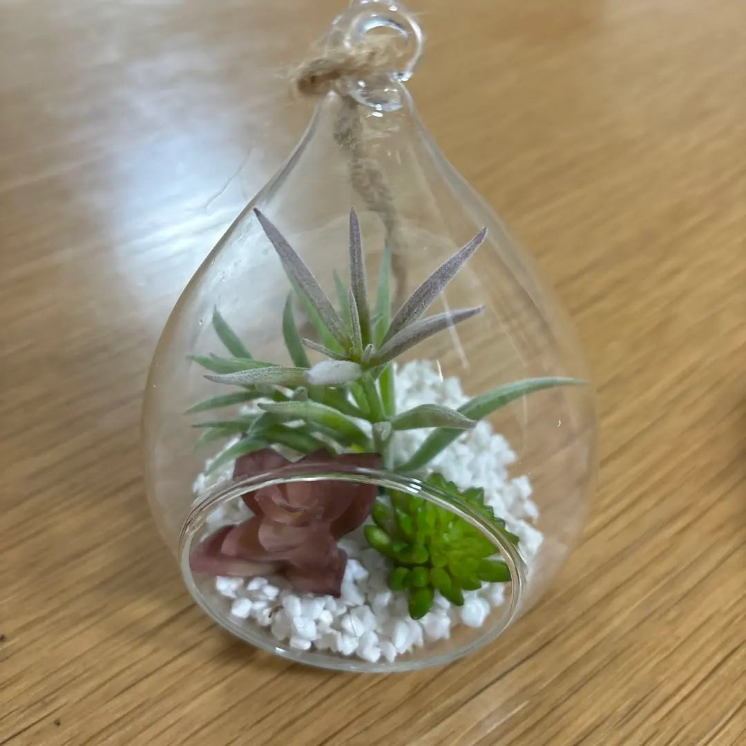 [Only available now!! ️] Hanging Glass Vase Gloves Plants Stylish Intelligence