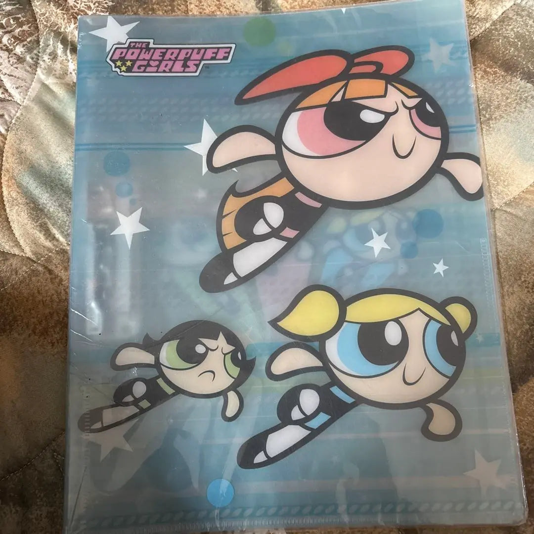 Powerpuff Girls Clear File