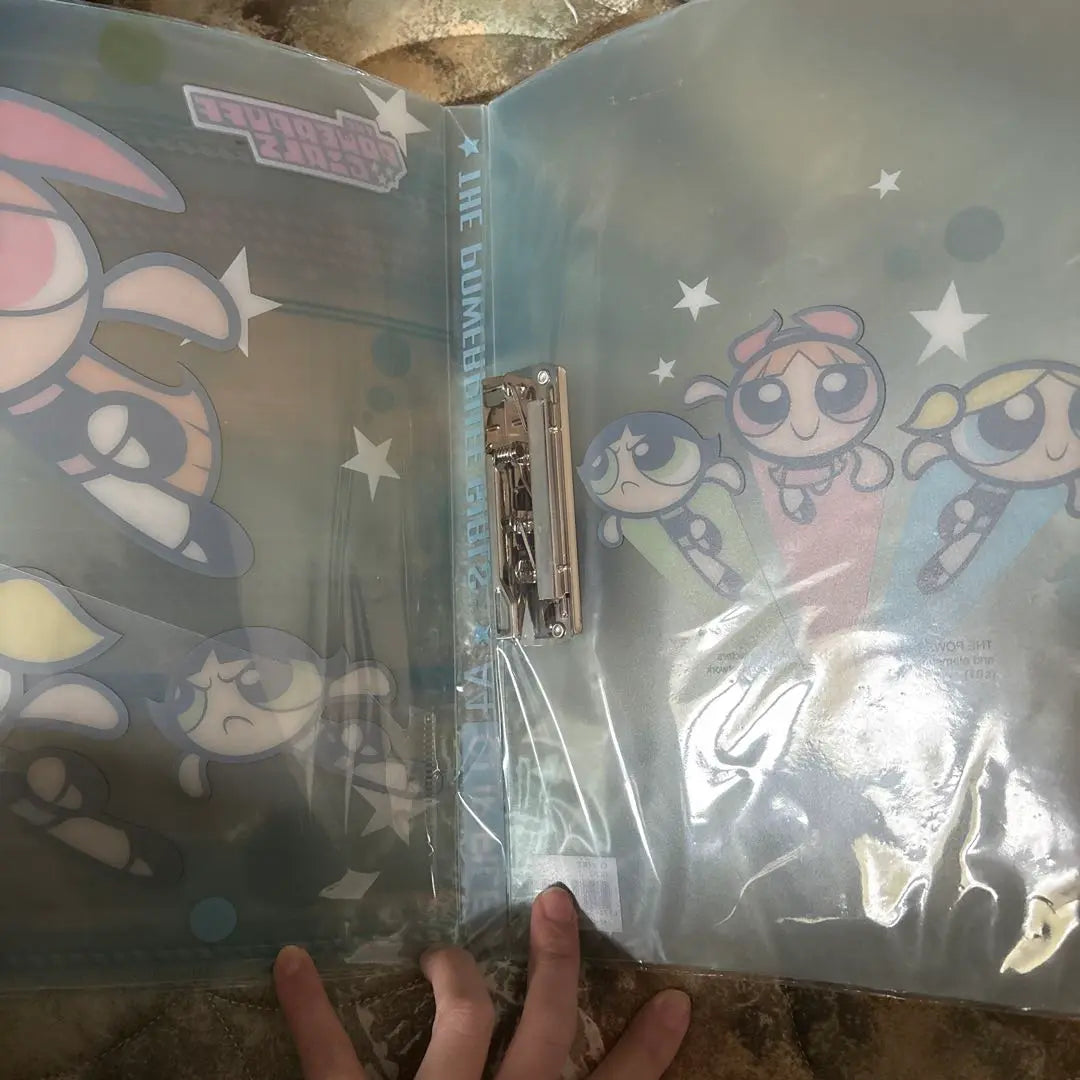 Powerpuff Girls Clear File