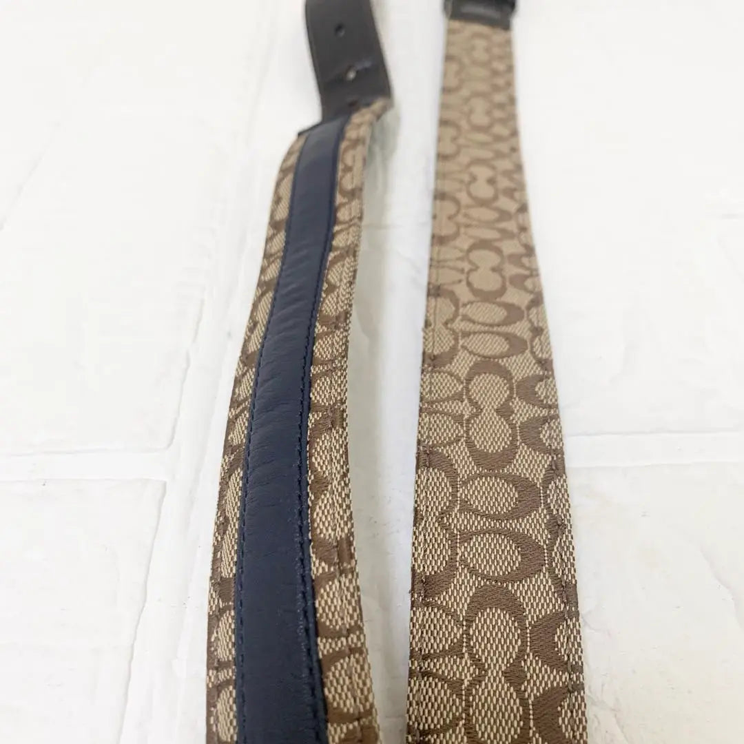 COACH coach Signature Belt Beige Navy Men's